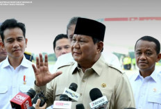 Kartu Liputan Istana Jurnalis Dicabut, Dewan Pers Desak Istana Pulihkan ID Wartawan CNN Indonesia