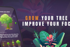 Berkebun Sambil Cuan! Temukan Keseruan Game Grow Your Forest