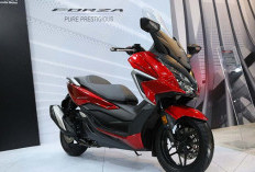 Begini Spesifikasi Honda Forza, Motor Premium Berkelas dengan Performa Tangguh 