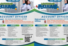 Kesempatan Emas! PNM Buka Lowongan Account Officer di Prabumulih, Gaji di Atas UMR