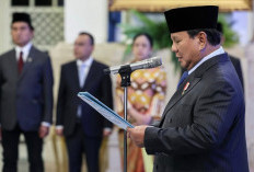 Prabowo Tunjuk Yusril Ihza Mahendra Pimpin Komite Satgas TPPU