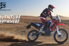 Adu Spesifikasi Honda CRF250 Rally Vs Kawasaki Versys-X 250, Motor Mana Jadi Pilihan Kamu?
