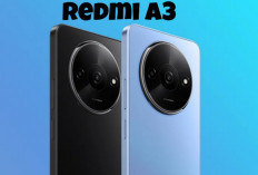3 HP Xiaomi Harga Terjangkau dengan RAM Besar dan Kamera Jernih