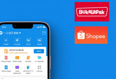 Panduan Lengkap: Meminjam Uang di DANA melalui E-Commerce Bukalapak & Shopee