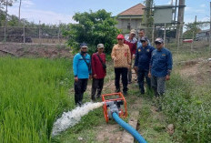 150 Hektar Sawah Krisis Air, Dinas Pertanian Prabumulih Lakukan Pompanisasi 