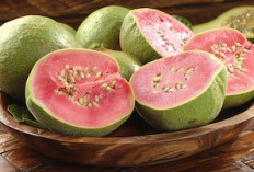 4 Manfaat Jambu Biji untuk Kesehatan, Kaya Vitamin C dan Tingkatkan Imunitas