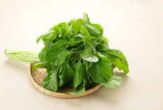 Daun Bayam Miliki Banyak Manfaat Kesehatan, Kaya Akan Nutrisi Untuk Tubuh