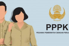 PPPK 2024: BKN Rilis Jadwal dan Informasi Penting untuk Pelamar