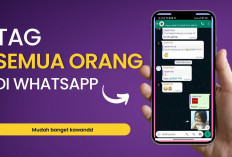 WhatsApp Rilis Fitur Tag Anggota, Stiker Teks, dan Pengingat Acara
