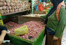 Harga Bawang Merah dan Putih di OKU Stabil