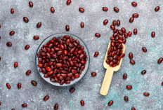 5 Manfaat Kacang Merah untuk Kesehatan yang Jarang Diketahui