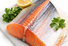 8 Manfaat Luar Biasa Ikan Salmon untuk Tubuh & Kesehatan