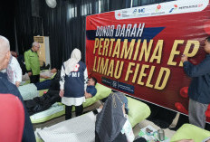 Be Bold Be Blood Donor, Aksi Kemanusiaan PEP Limau Field Berhasil Kumpulkan 169 kantong darah