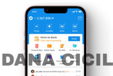 Butuh Dana Cepat? Ini Langkah-langkah Mengajukan Pinjaman Melalui DANA