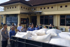 Lolos Standar Bulog, Jagung Poktan Makmur Bersama Desa Pangkul Prabumulih Siap Dongkrak Pendapatan Petani