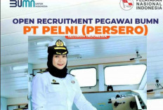 PT PELNI Buka Lowongan hingga 11 Februari, Ini Posisi yang Dibutukan 