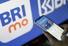 Cara Cek Mutasi Rekening BRI di BRImo: Mudah dan Cepat