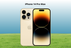 iPhone 14 Pro Max: Kamera 48 MP dengan Fitur Fotografi Profesional Siap Memukau Pengguna