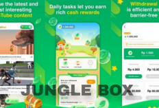 Cara Mudah Mendapatkan Uang Rp100.000 per Hari dengan Aplikasi Jungle Box