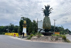 Tuai Pro Kontra, Pembongkaran Tugu Nanas Prabumulih Ditunda