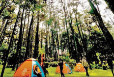 Punti Kayu Comeback! Dulu Kenangan, Kini Siap Jadi Wisata Modern