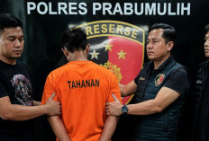 Penusukan Gegerkan Warga Arimbi Jaya, Pelaku Tak Berkutik Ditangkap Polisi