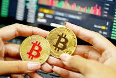 Pemerintah Revisi Pajak Crypto: Apa Artinya Buat Kamu?