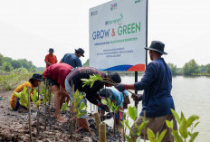 BRI Perkuat Aksi Nyata Selamatkan Pesisir Lewat Program Penanaman 10.000 Mangrove di Muara Gembong