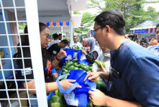 Berkat Program Pemberdayaan BRI Klasterku Hidupku, Petani Ini Berhasil Kembangkan Budidaya Alpukat