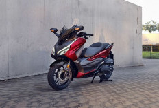 Kelebihan dan Kekurangan Honda Forza, Motor Premium yang Nyaman dan Bertenaga