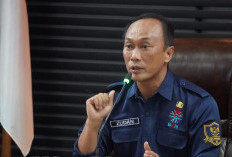 BKN Imbau Daerah Anggarkan Gaji Non ASN hingga Diangkat jadi ASN