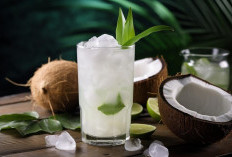 Ternyata 5 Kelompok Orang Ini Tidak Diperbolehkan Minum Air Kelapa Muda, Kok Bisa?