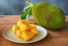 5 Manfaat Kesehatan Buah Nangka yang Wajib Anda Ketahui