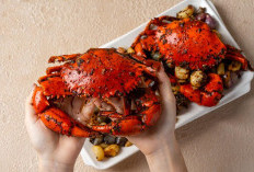 5 Manfaat Daging Kepiting untuk Tubuh Sehat dan Bugar