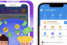 Main Game dapat Saldo Dana? Lucky Popstar Viral Jadi Ladang Cuan Digital di 2025!