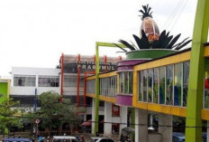 Ini Jumlah SMA Negeri dan Alamatnya di Prabumulih Wajib Kamu Ketahui