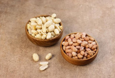 Benarkah Sering Mengkonsumsi Kacang Bisa Timbulkan Jerawat, Simak Penjelasannya Sekarang Juga
