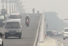 Lindungi Kesehatan Anda: 10 Cara Efektif Menghadapi Kabut Asap