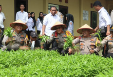 Dulu Lahan Tidur, Kini Panen Sayur: Polres Prabumulih Dukung Ketahanan Pangan