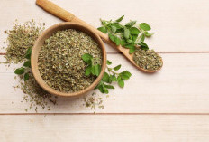 Oregano: Rempah Aromatik dengan Segudang Manfaat Kesehatan