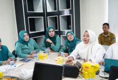 Pastikan Layanan Kesehatan Tepat Sasaran, TP PKK Prabumulih Pantau Pengisian Data Posyandu