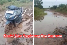 Bertahun-Tahun Jalan Rusak, Warga Desa Rambutan OI Berharap Jalan Penghubung Segera Diperbaiki 