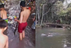 Pemuda Sindur Bersihkan Aliran Sungai Nibung dari Sampah 