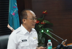 Pelanggaran Disiplin! BKN Berhentikan 20 Pegawai ASN