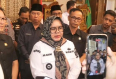 Vespa Tua Rp1 Juta hingga Toyota Yaris Rp200 Juta, Ini Isi Garasi Plt Bupati Muara Enim Sumarni