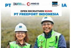 PT Freeport Buka Lowongan 4 Posisi! Ini Persyaratan dan Penempatan