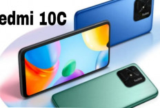 Redmi 10C, Smartphone Murah dengan Fitur Kelas Menengah