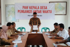 Tiga Kades di Banyuasin Mengundurkan Diri, Pemkab Siapkan Pemilihan Antar Waktu