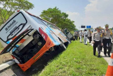 Lagi Kecelakaan Maut di Tol, Kali Ini Menimpa Bus Rosalia Indah di Tol Batang-Semarang, 7 Meninggal Dunia