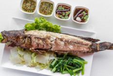 5 Manfaat Ikan Gabus yang Bikin Tubuh Tetap Sehat